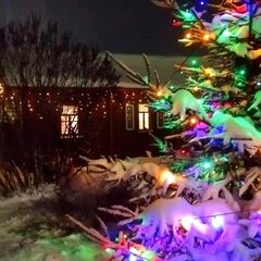 База отдыха Дивный дворик, Нижегородская область