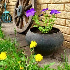 База отдыха Дивный дворик, Нижегородская область