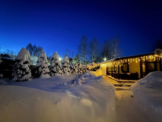 Метелица — фото 3