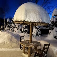 Гостевой дом Метелица, Московская область