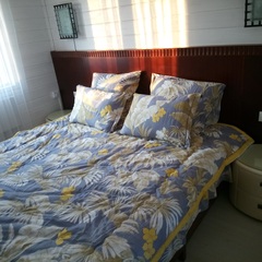 Гостевой дом Метелица, Московская область