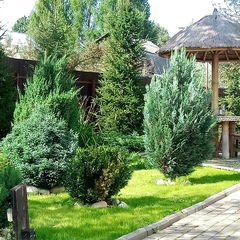 Гостевой дом Метелица, Московская область