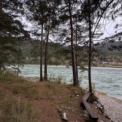 База отдыха Зеленые холмы, Республика Алтай