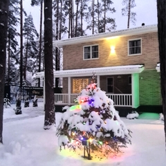 Коттедж Дача Сосновка, Ленинградская область