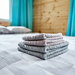 Гостевой двор Булавкиных На Телецком, Республика Алтай