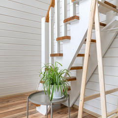 Дом Место Силы, Ленинградская область