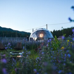 Эко-отель Небо, Республика Алтай