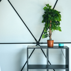 Эко-отель Небо, Республика Алтай