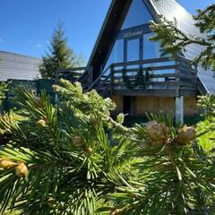 База отдыха ПроСчастье, Пермский край