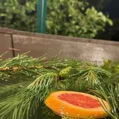 База отдыха ПроСчастье, Пермский край