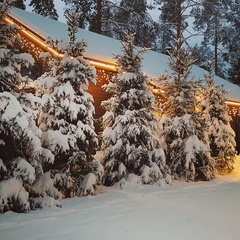 База отдыха Миден, Ленинградская область