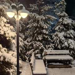 База отдыха Миден, Ленинградская область