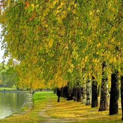 Санаторий-профилакторий Светлый, Тюменская область