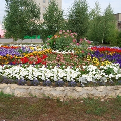 Санаторий им. Калинина, Тамбовская область