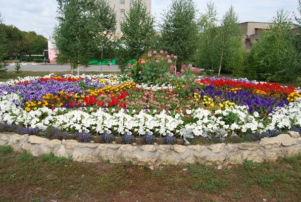 им. Калинина — фото 3