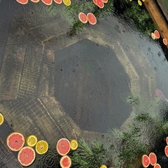 Загородный дом Мишкин дом, Нижегородская область