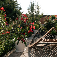 Гостевой дом Визит, Крым