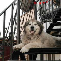 Гостевой дом Визит, Крым