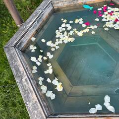 Дом в аренду Пар и сосны, Республика Башкортостан