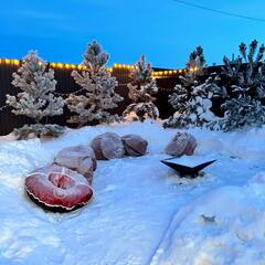 Дом в аренду Пар и сосны, Республика Башкортостан