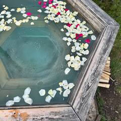 Дом в аренду Пар и сосны, Республика Башкортостан