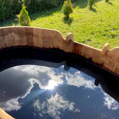 Дом в аренду Хижина у озера, Республика Карелия