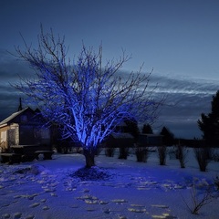 Дом в аренду Хижина у озера, Республика Карелия