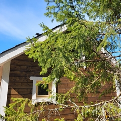 Гостевой дом Pientalo, Республика Карелия