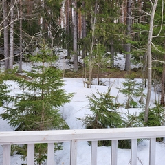 Гостевой дом Pientalo, Республика Карелия