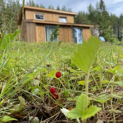 Гостевой дом Pientalo, Республика Карелия