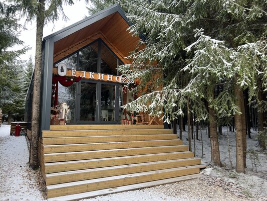 Ёлкино.life — фото 2