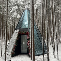 Глэмпинг Ёлкино.life, Московская область