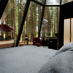 Глэмпинг Ёлкино.life, Московская область