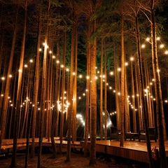 Глэмпинг Ёлкино.life, Московская область