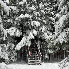 Глэмпинг Ёлкино.life, Московская область