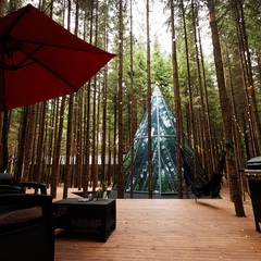 Глэмпинг Ёлкино.life, Московская область