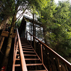 Глэмпинг Ёлкино.life, Московская область