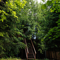 Глэмпинг Ёлкино.life, Московская область