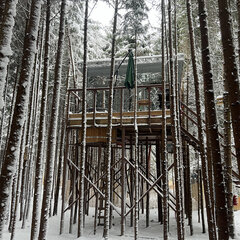Глэмпинг Ёлкино.life, Московская область