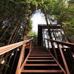 Глэмпинг Ёлкино.life, Московская область