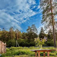 Гостевой дом Дом Романтика, Челябинская область