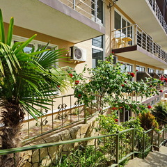 Гостевой дом Континент, Сочи, Краснодарский край