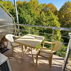 Гостевой дом Континент, Сочи, Краснодарский край