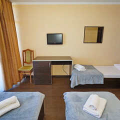 Гостевой дом Континент, Сочи, Краснодарский край