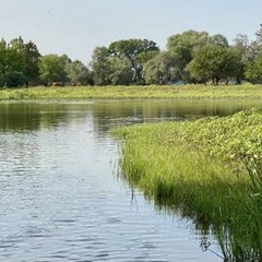 Гостевой дом Домики в лотосах, Астраханская область