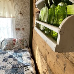 Гостевой дом Домики в лотосах, Астраханская область