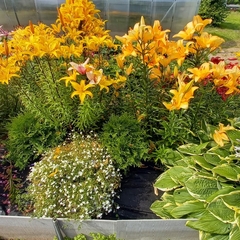 Гостевой дом — Карелия, Республика Карелия