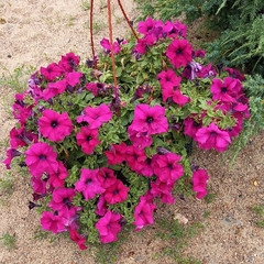 Гостевой дом — Карелия, Республика Карелия