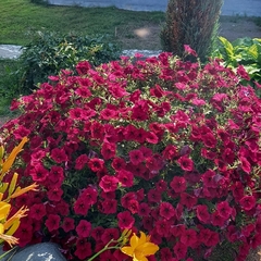 Гостевой дом — Карелия, Республика Карелия