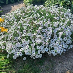 Гостевой дом — Карелия, Республика Карелия